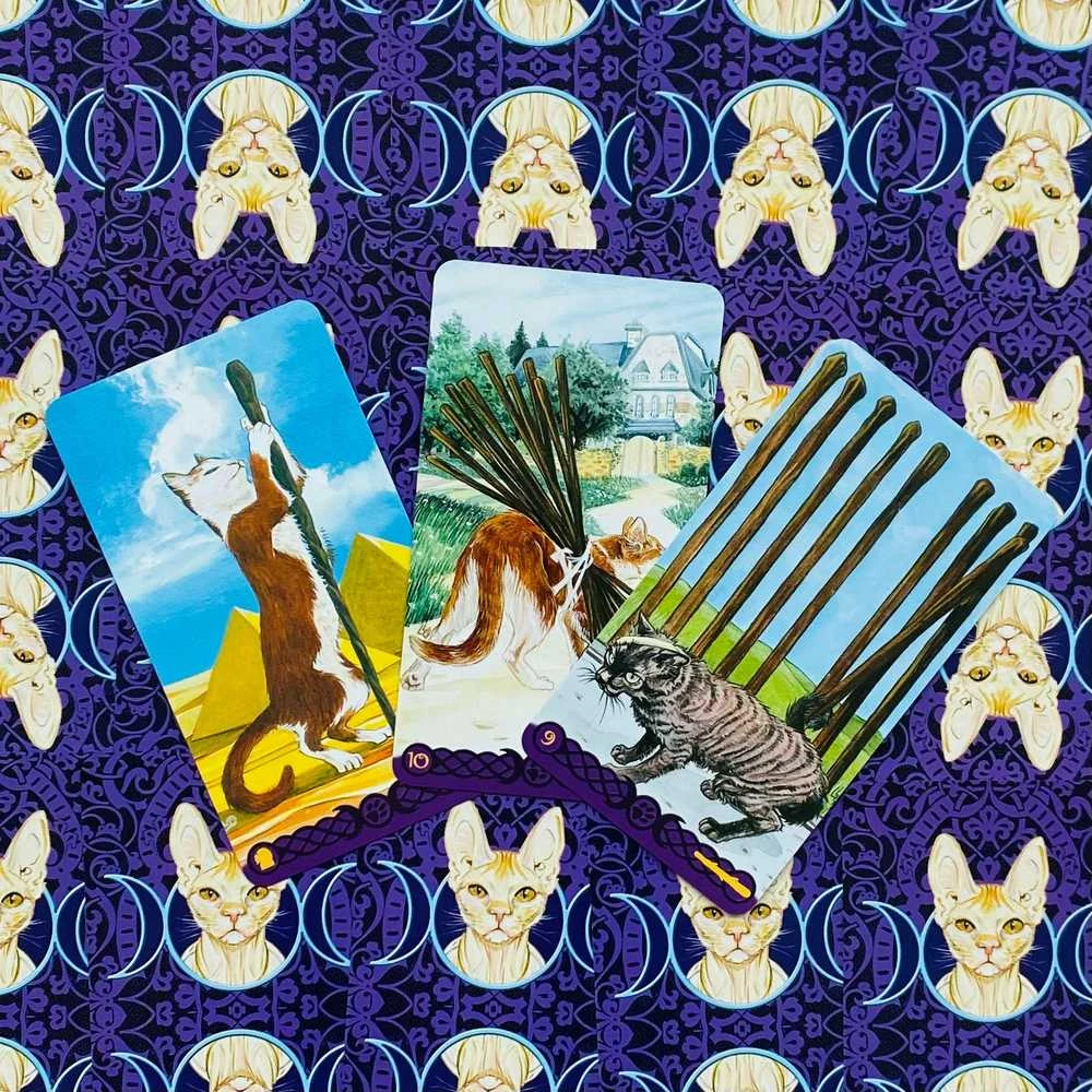 Lo Scarabeo Tarot Of Pagan Cats Kortos