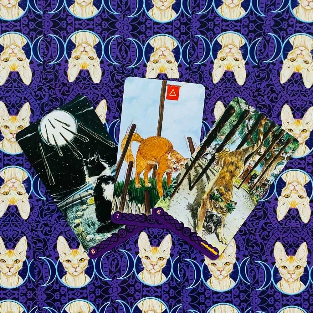 Lo Scarabeo Tarot Of Pagan Cats Kortos