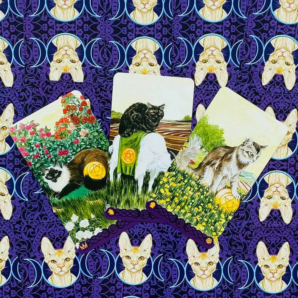 Lo Scarabeo Tarot Of Pagan Cats Kortos