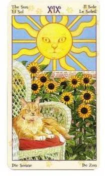 Lo Scarabeo Tarot Of Pagan Cats Mini Kortos