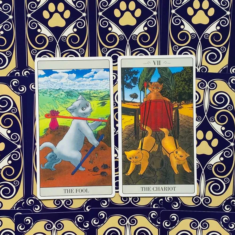 Lo Scarabeo The Way Jodorowsky Explained Tarott To His Cat Kortos