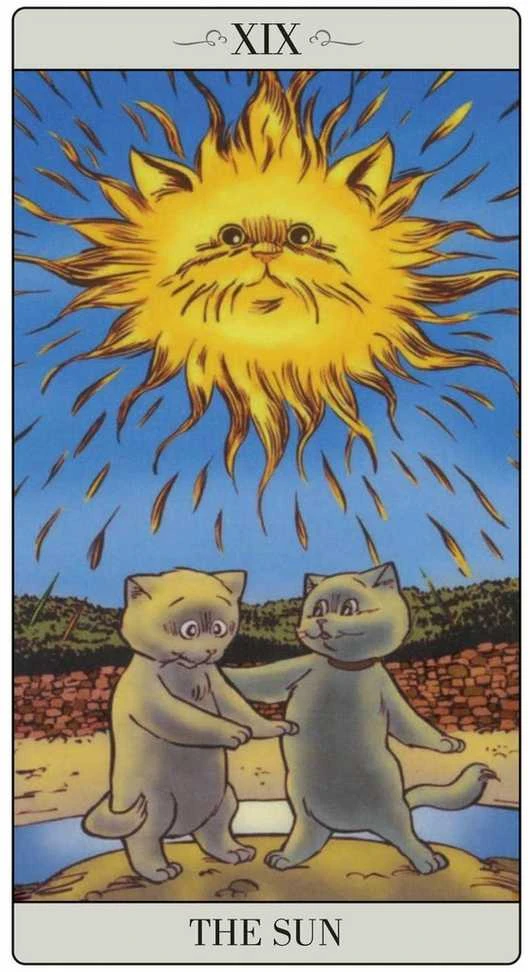 Lo Scarabeo The Way Jodorowsky Explained Tarott To His Cat Kortos