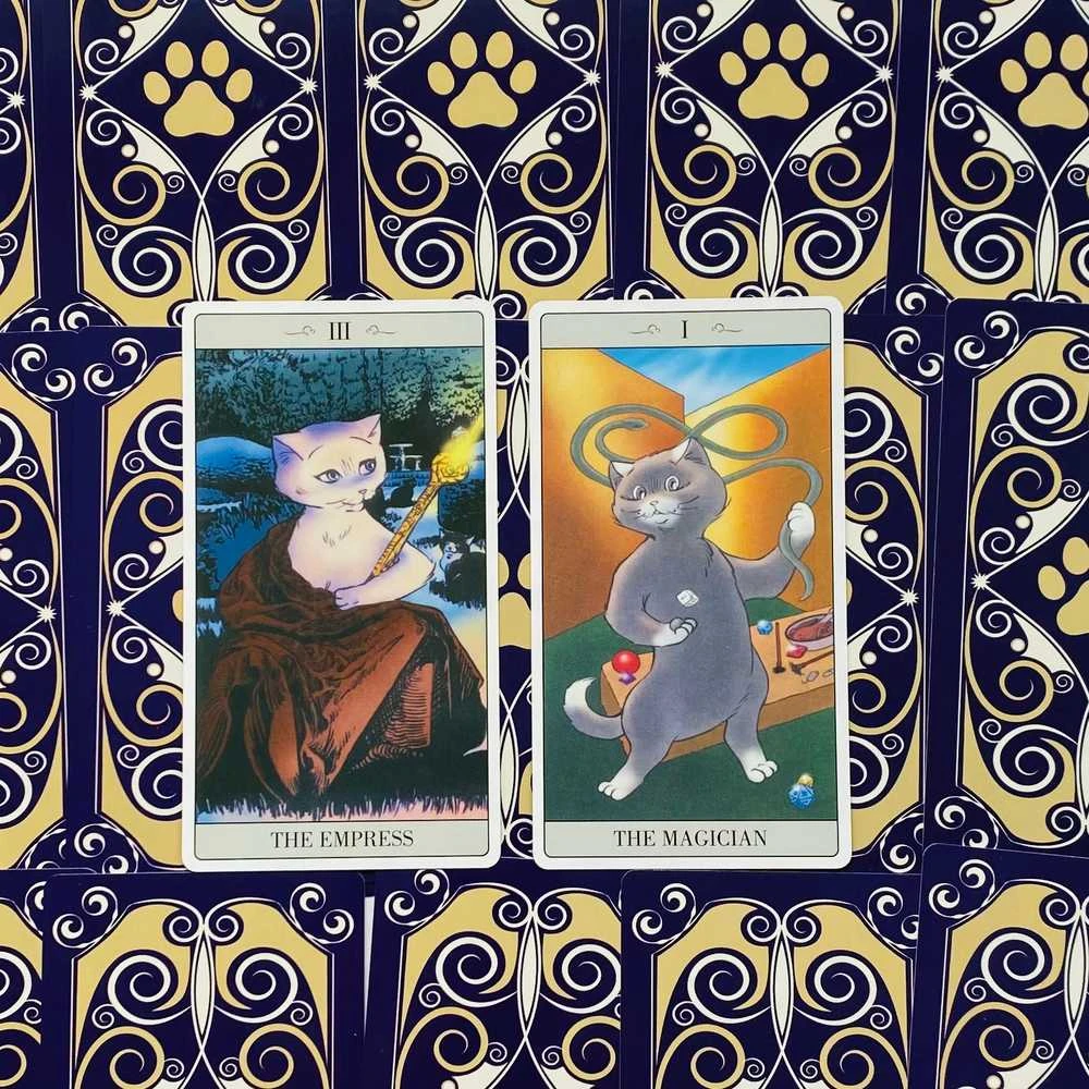 Lo Scarabeo The Way Jodorowsky Explained Tarott To His Cat Kortos