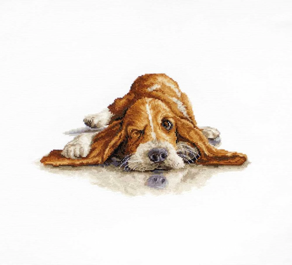 luca S Basset SB2341