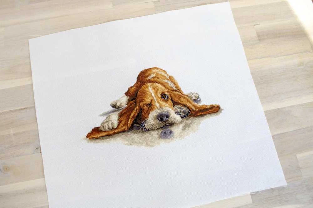 luca S Basset SB2341