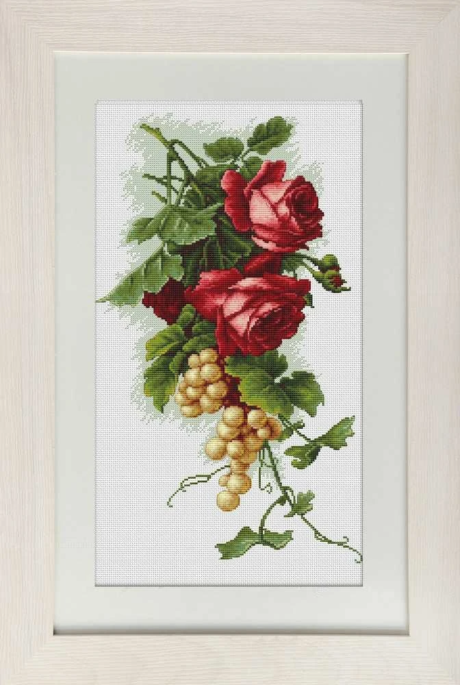 luca S Raudonos rožės ir vynuogės SB2229
