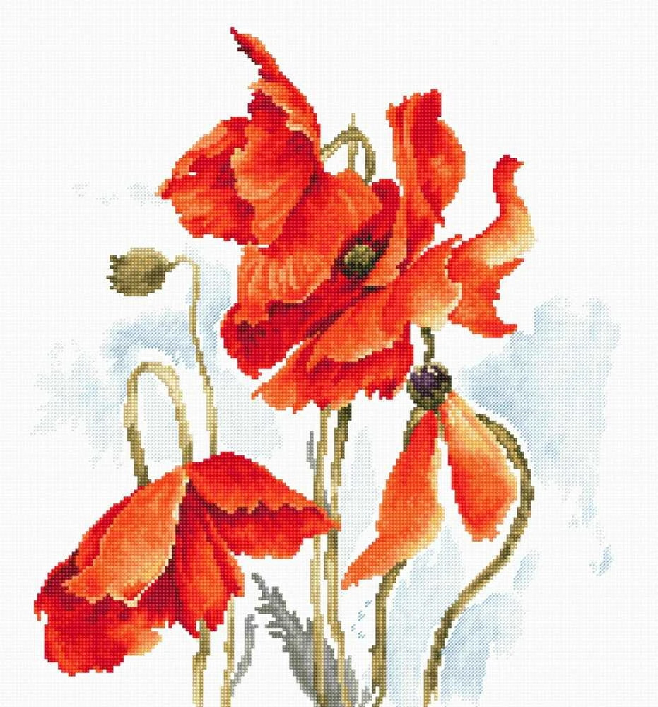 luca S Aguonos SB2374