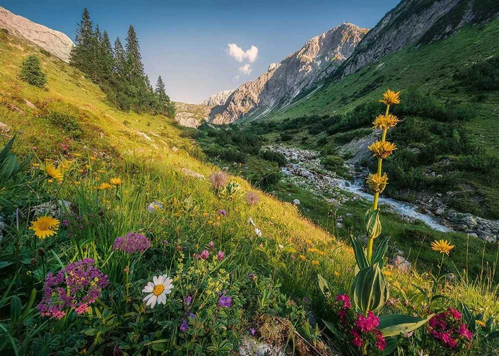 Magical Valley 1000 Piece Puzzle - RAVENSBURGER dėlionė