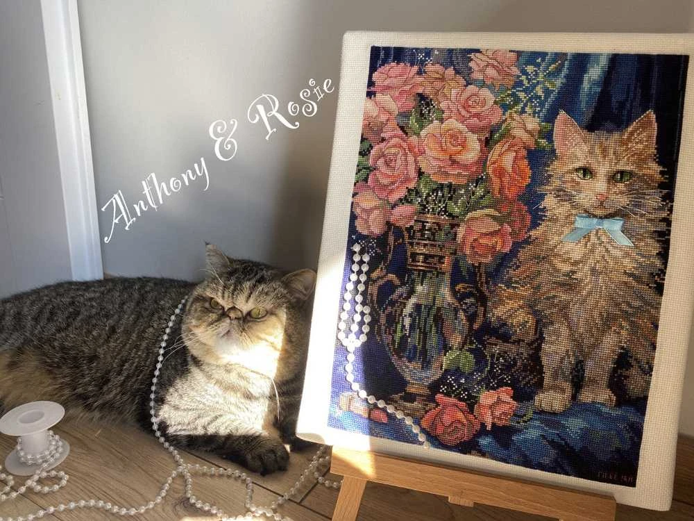 Merejka Kryželiu siuvinėjimo rinkinys "Rosie" 22,5x30 cm SK236