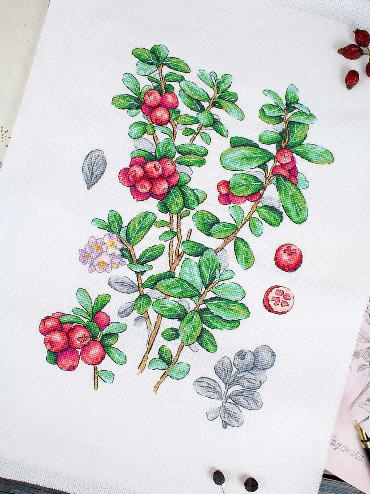 MP Studia Kryželių siuvinėjimo rinkinys „Bruknių uogos“ 29x20 cm