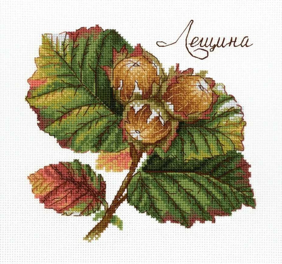 MP Studia Beldizart Kryželių siuvinėjimo rinkinys "Gamtos dovanos. Lazdyno riešutas" 13x13 cm SNV-912