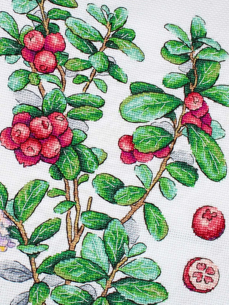 MP Studia Kryželių siuvinėjimo rinkinys „Bruknių uogos“ 29x20 cm