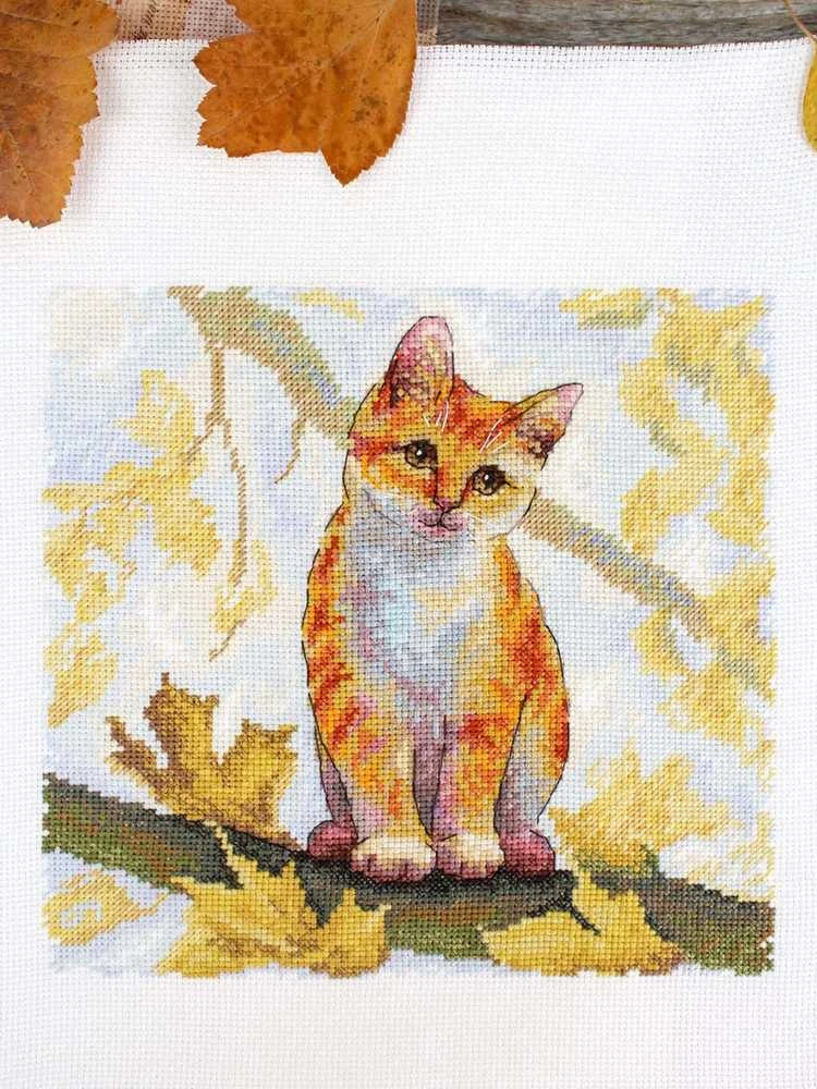 MP Studia Kryželiu siuvinėjimo rinkinys „Pūkuota ryža katė“ 19x19 cm SNV-908