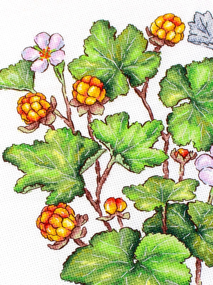 MP Studia Kryželiu siuvinėjimo rinkinys „Šiaurinė uoga“ 28x19 cm, 16 ct