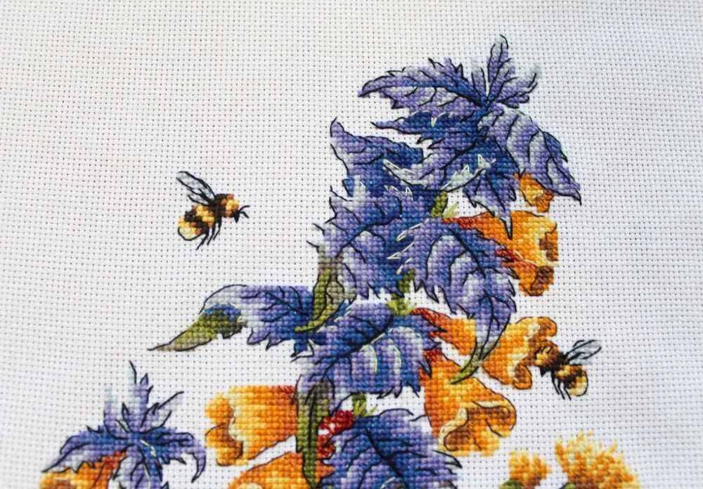 MP Studia Beldizart Melampyrum nemorosum SNV-778