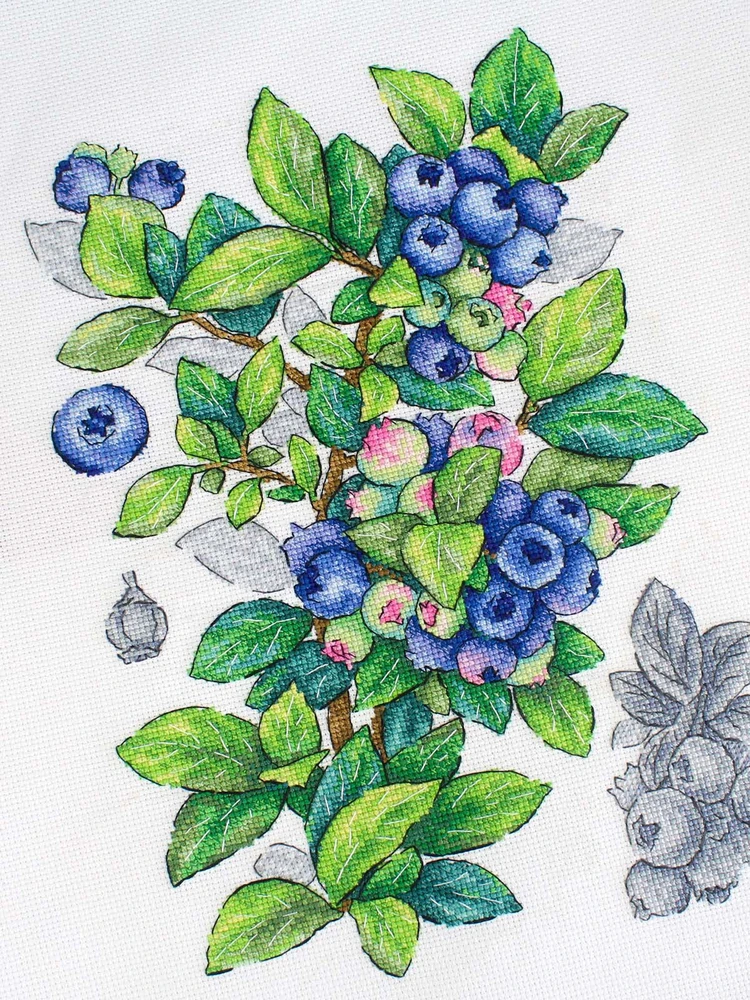 MP Studia Mėlynių kryželių siuvinėjimo rinkinys, 28x20 cm, 31 spalva