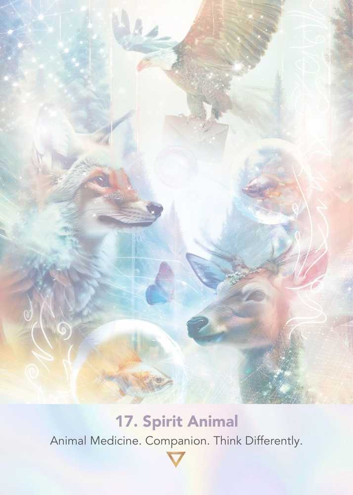 KNYGA Muse Oracle Press LightWeb orakulo kortos – kosminė dvasinė kelionė, 44 kortos