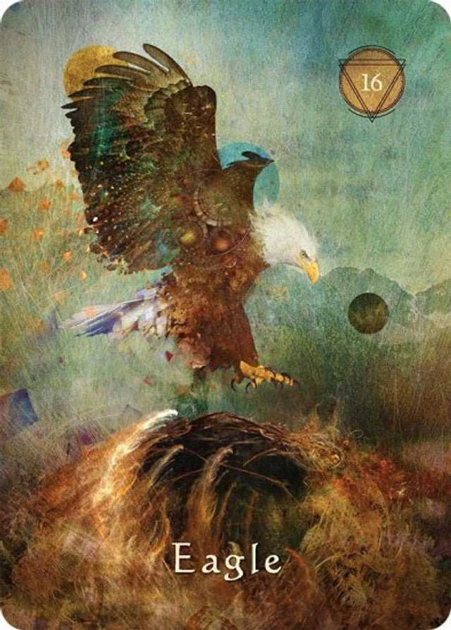 Hay House Mystical Shaman Oracle Kortos