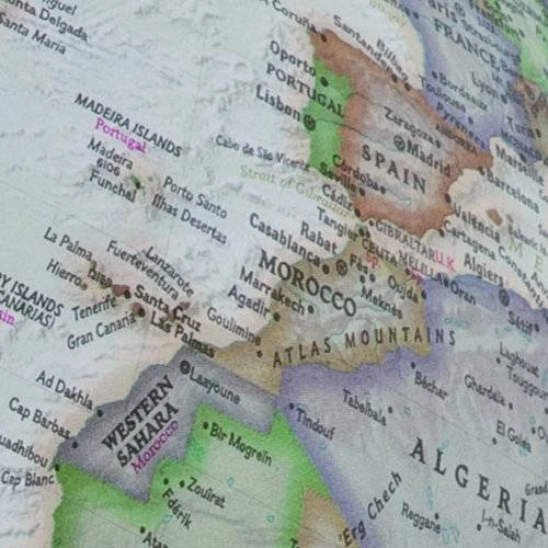 National Geographic antikinis gaublys 30 cm su riešutmedžio padu, anglų k.