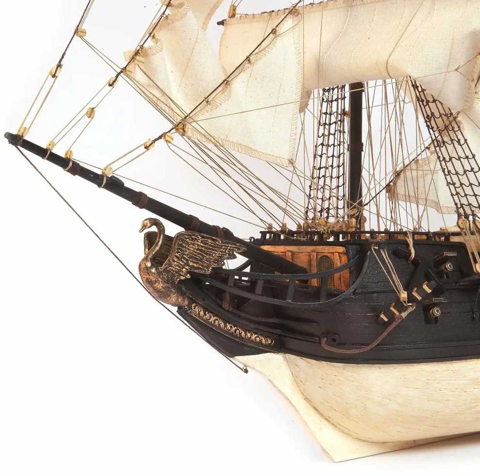 Occre "Juodoji Gulbė" - itin kokybiškas PIRATŲ laivo modelis