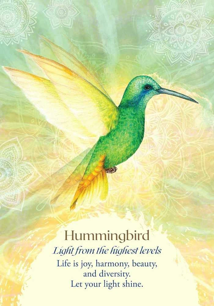 Findhorn Press Oracle Of The Birds Kortos