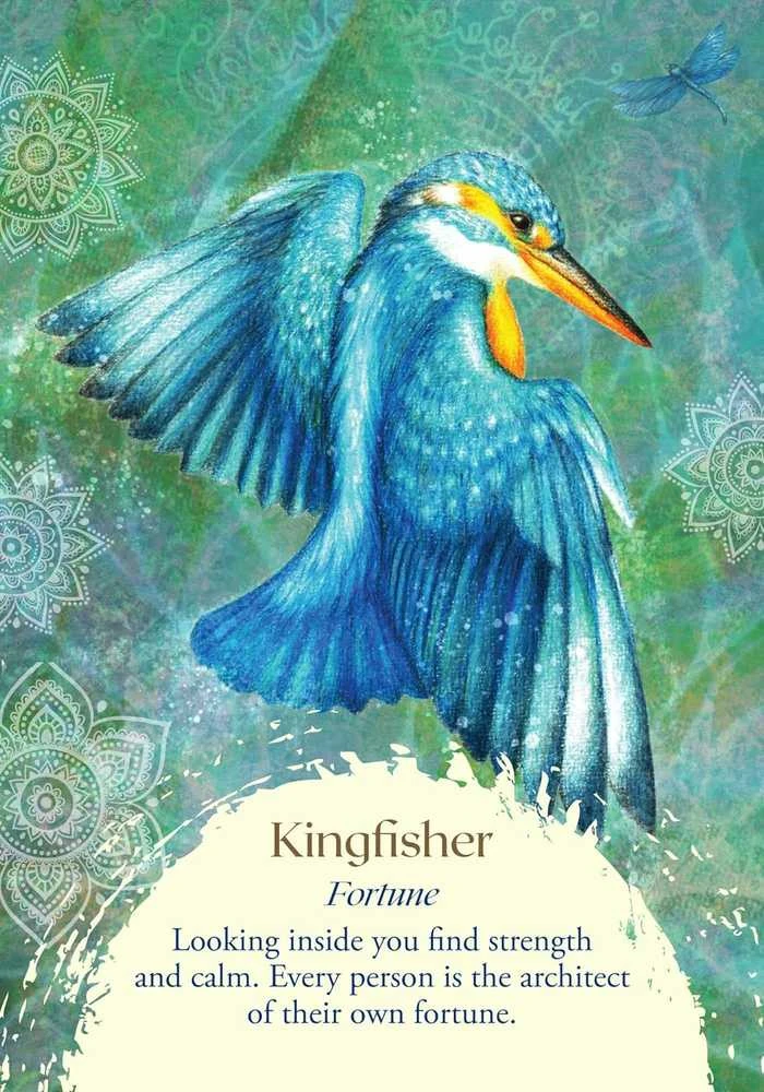 Findhorn Press Oracle Of The Birds Kortos