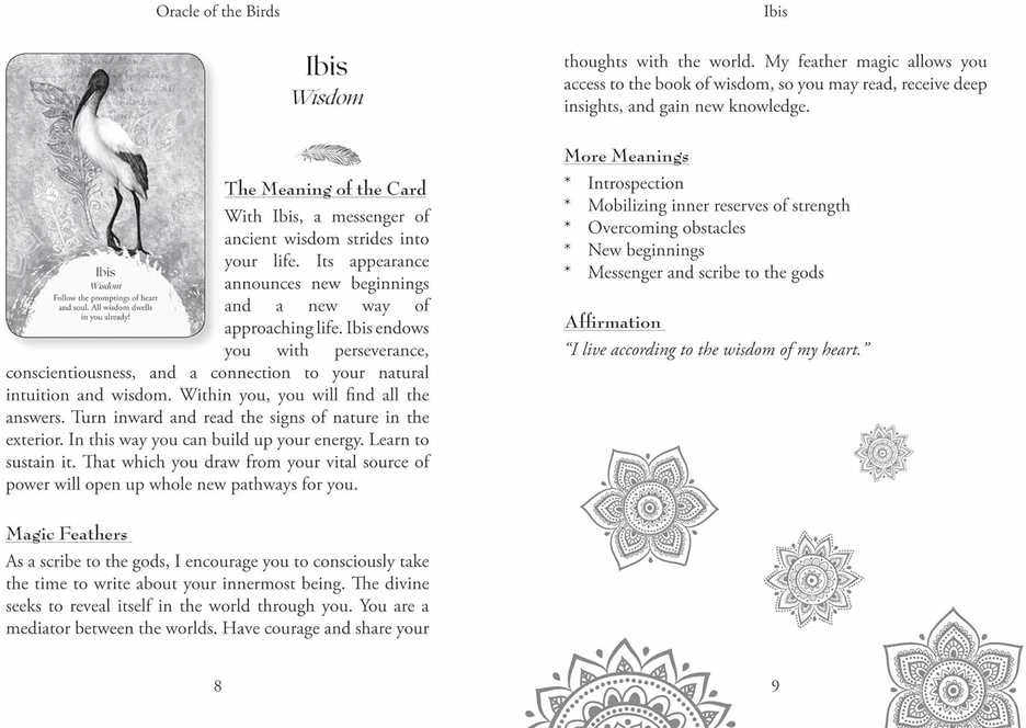 Findhorn Press Oracle Of The Birds Kortos