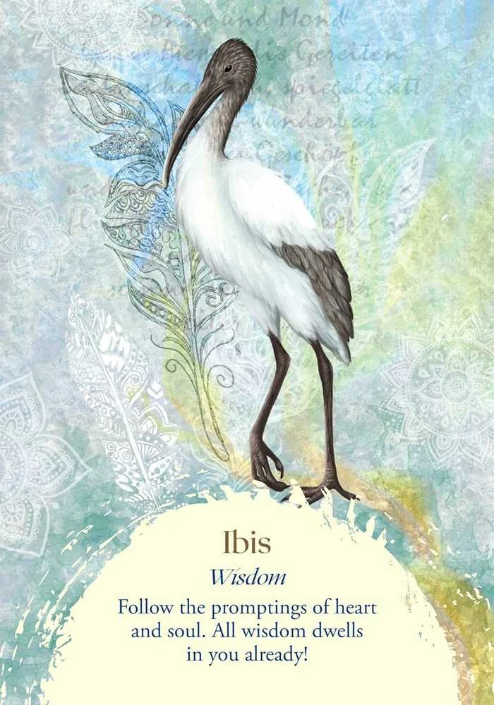 Findhorn Press Oracle Of The Birds Kortos