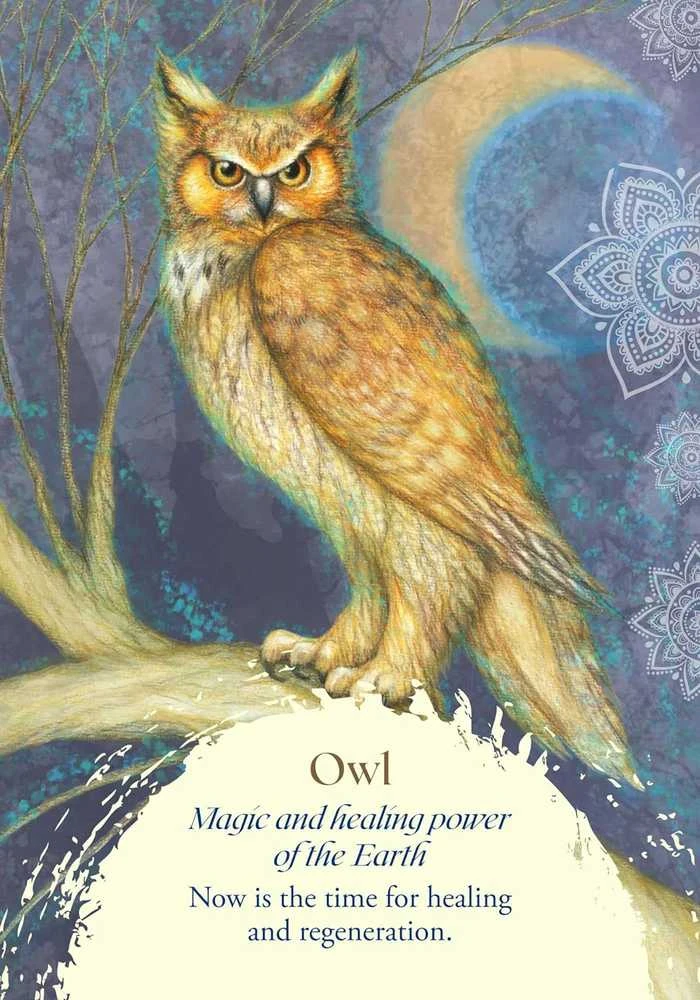 Findhorn Press Oracle Of The Birds Kortos