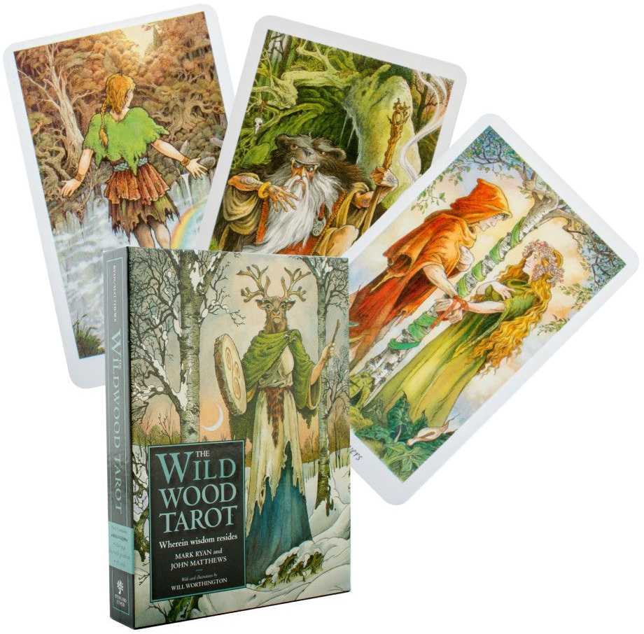 KNYGA Orange Hippo Oranžinis Hippo Oranžinis Hippo Wildwood Tarot Kortos