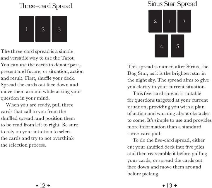 Rockpool Taro kortos ORIENS ANIMAL TAROT POCKET CARDS