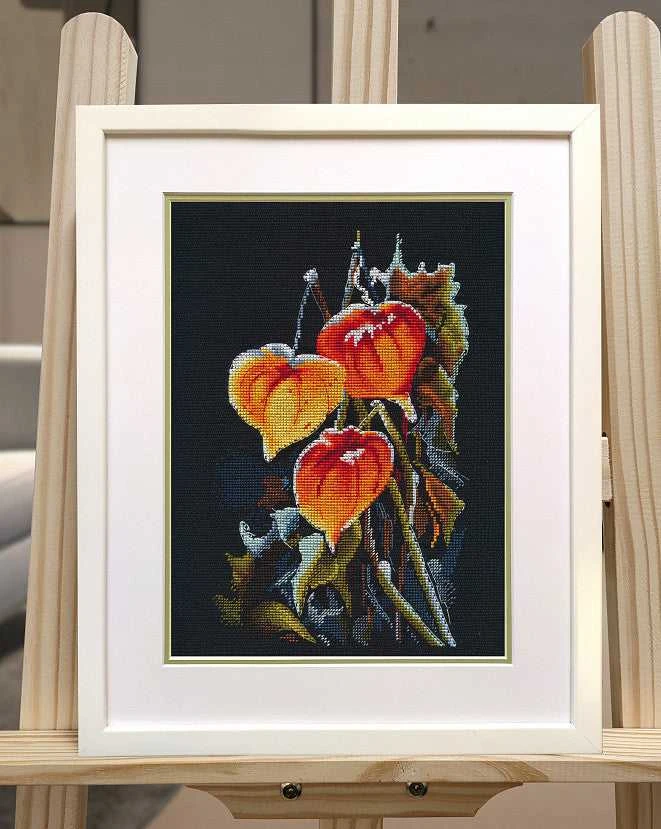 Oven Beldizart Kryželiu siuvinėjimo rinkinys „Physalis ant juodo“ S1617