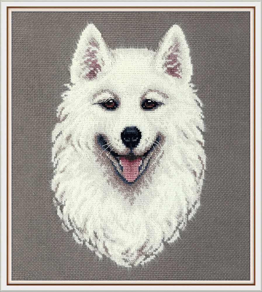 Panna Klart Kryželiu siuvinėjimo rinkinys „Samojedas“ 18,5×24,5 cm, šunų mylėtojams