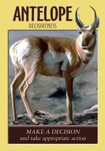 KNYGA Hay House Power Animal Oracle Kortos