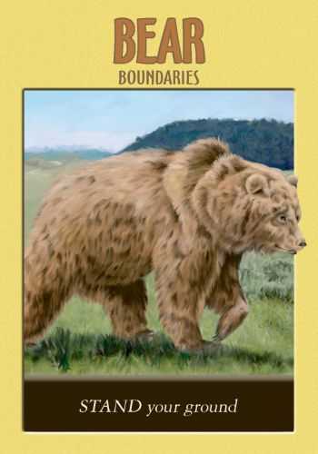 KNYGA Hay House Power Animal Oracle Kortos
