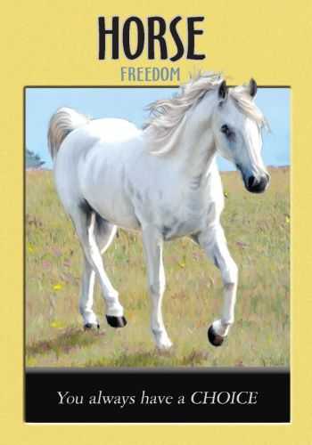 KNYGA Hay House Power Animal Oracle Kortos