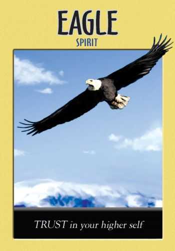 KNYGA Hay House Power Animal Oracle Kortos