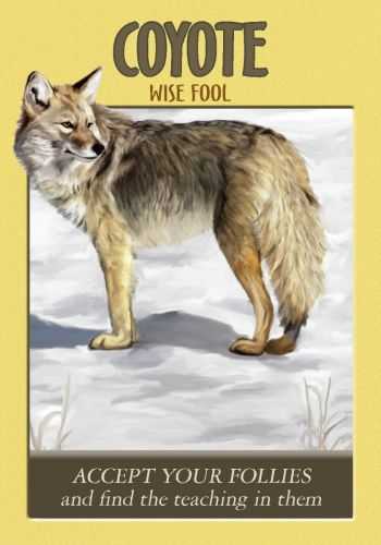 KNYGA Hay House Power Animal Oracle Kortos