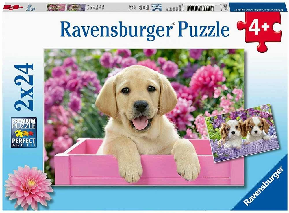Ravensburger Dėlionė 2x24 vnt. - Šuniukai