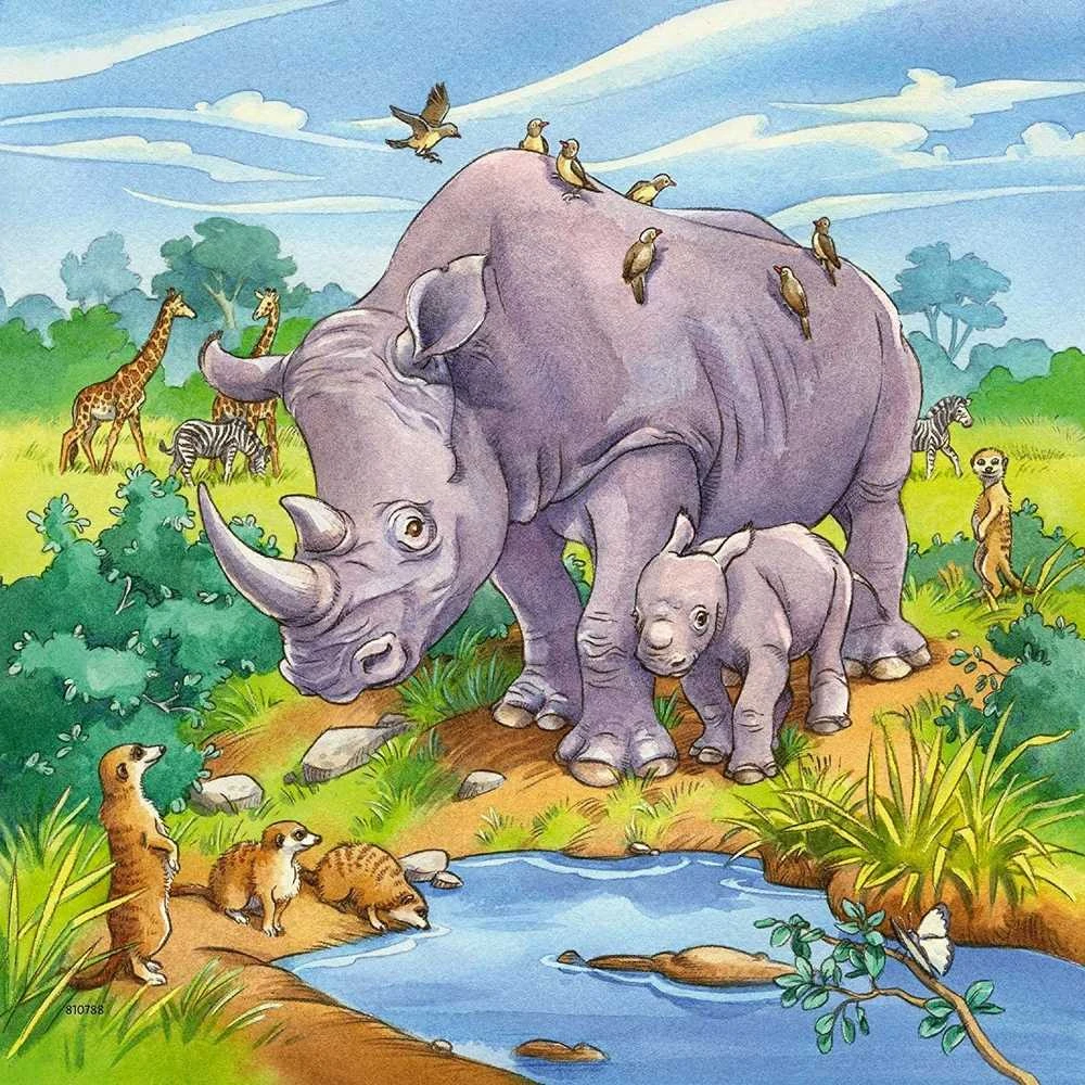 Puzzle 3x49 Wild Animals - RAVENSBURGER dėlionė
