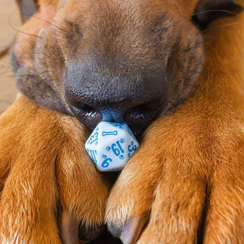 Q Workshop DOGS Dice Set: Max Kauliukų Rinkinys