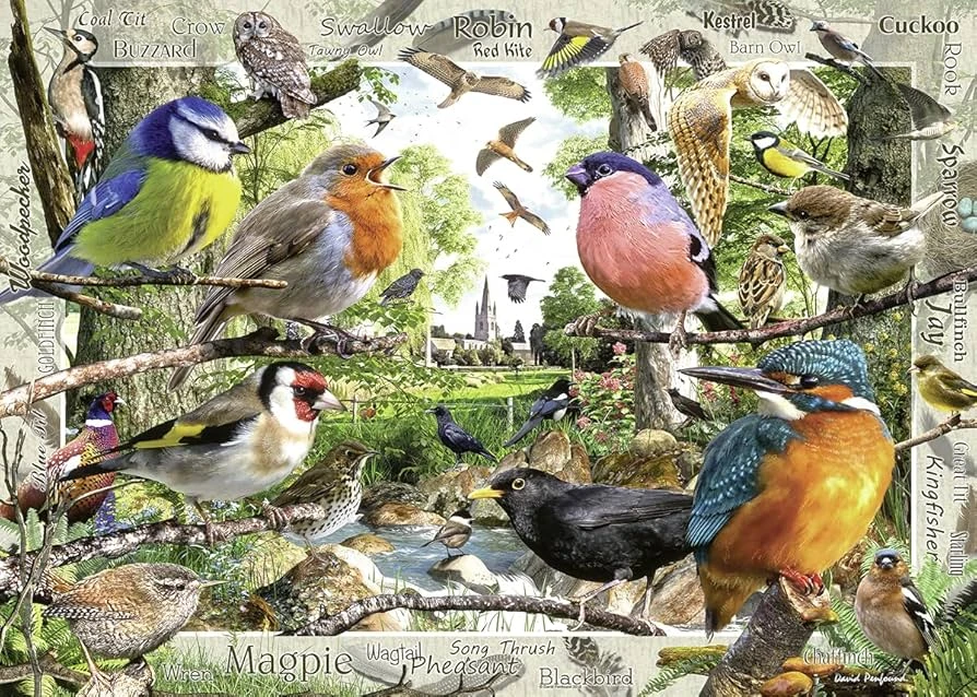 Ravensburger 1000 Puzzle Dėlionė: Feathered Friends