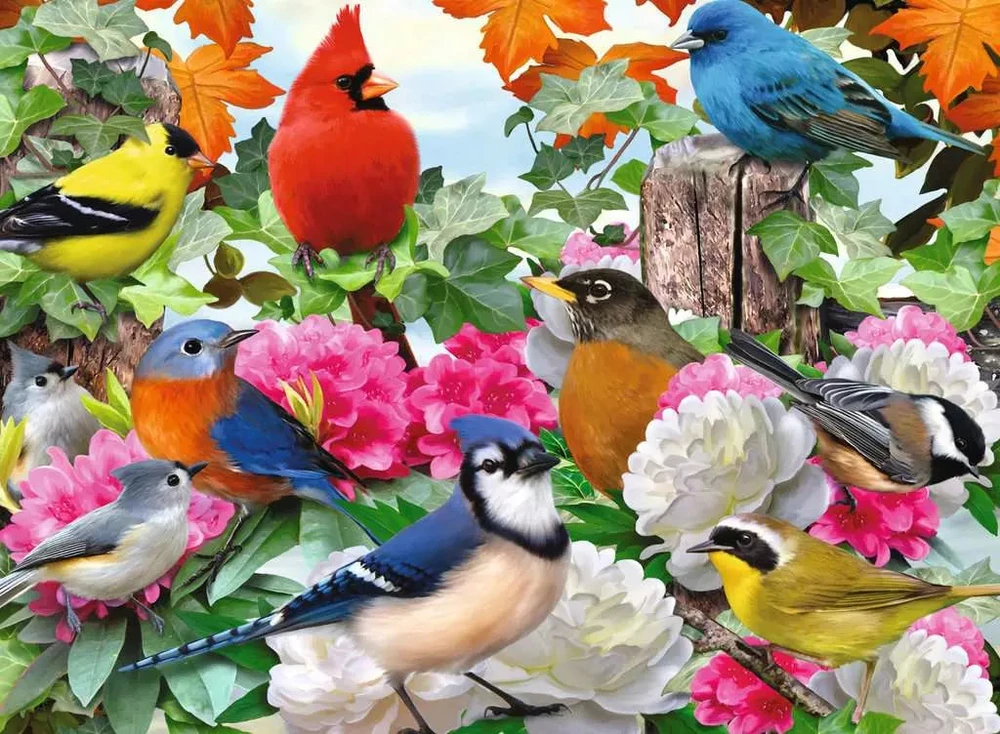 Ravensburger dėlionė „Sodo paukščiai“, 500 det.