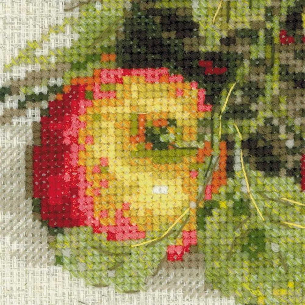 RIOLIS - Create It Yourself - Siuvinėjimo rinkinys „Prinokę obuoliai“ 1450 (30x30 cm)