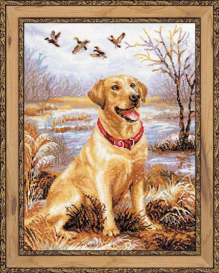 RIOLIS - Create It Yourself - Siuvinėjimo rinkinys „Labradoras“ 1399 (30x40 cm)