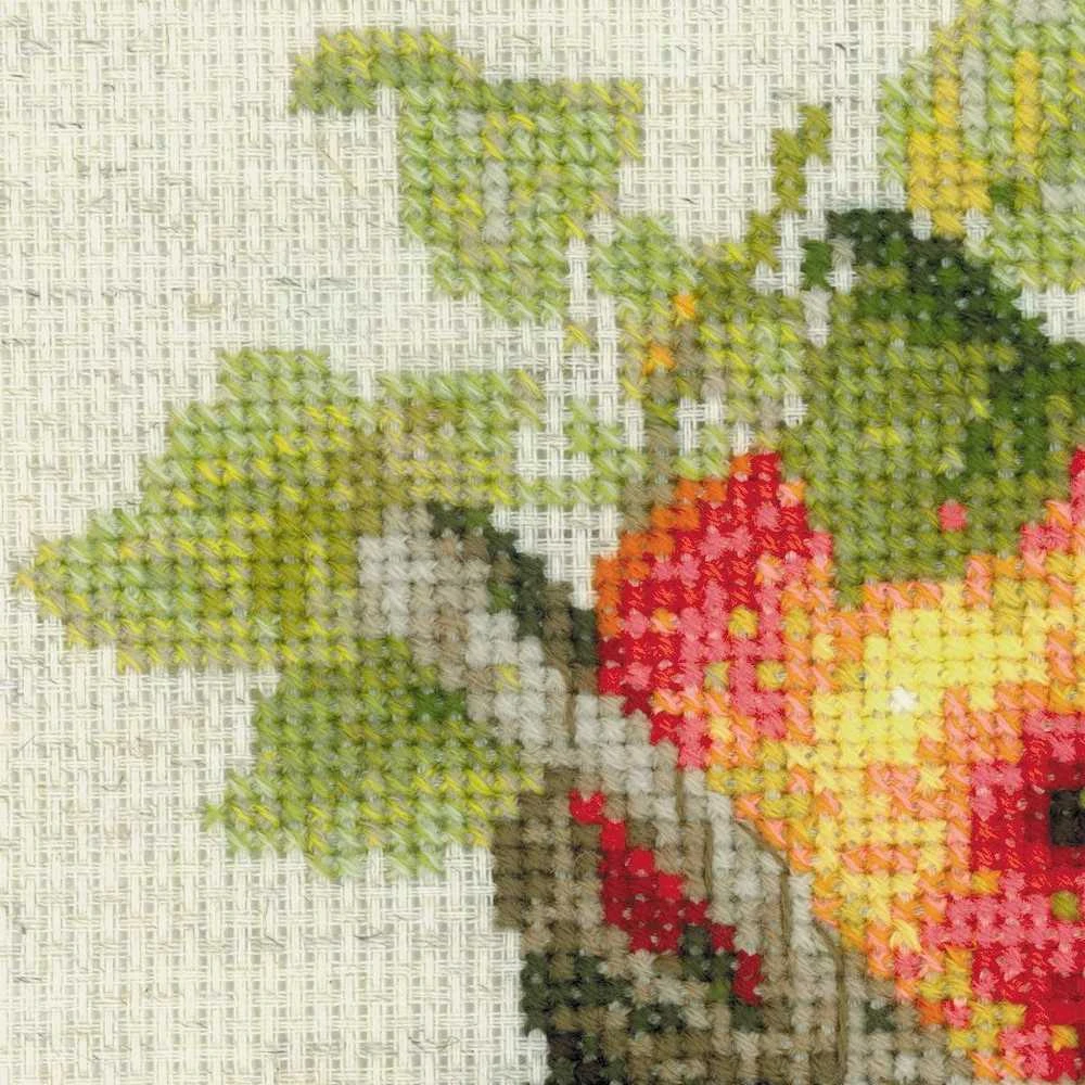 RIOLIS - Create It Yourself - Siuvinėjimo rinkinys „Prinokę obuoliai“ 1450 (30x30 cm)