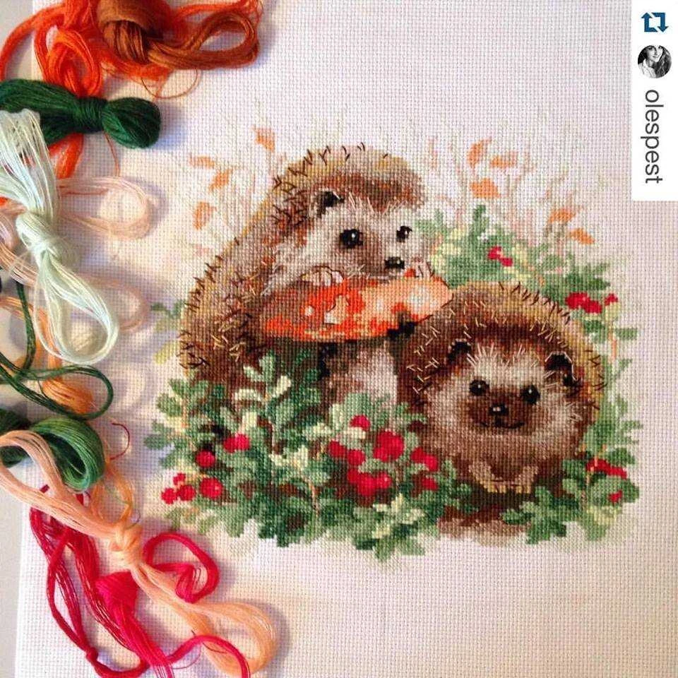 RIOLIS – Create It Yourself – Siuvinėjimo rinkinys „Ežiukai“ 1469 (25x25 cm)