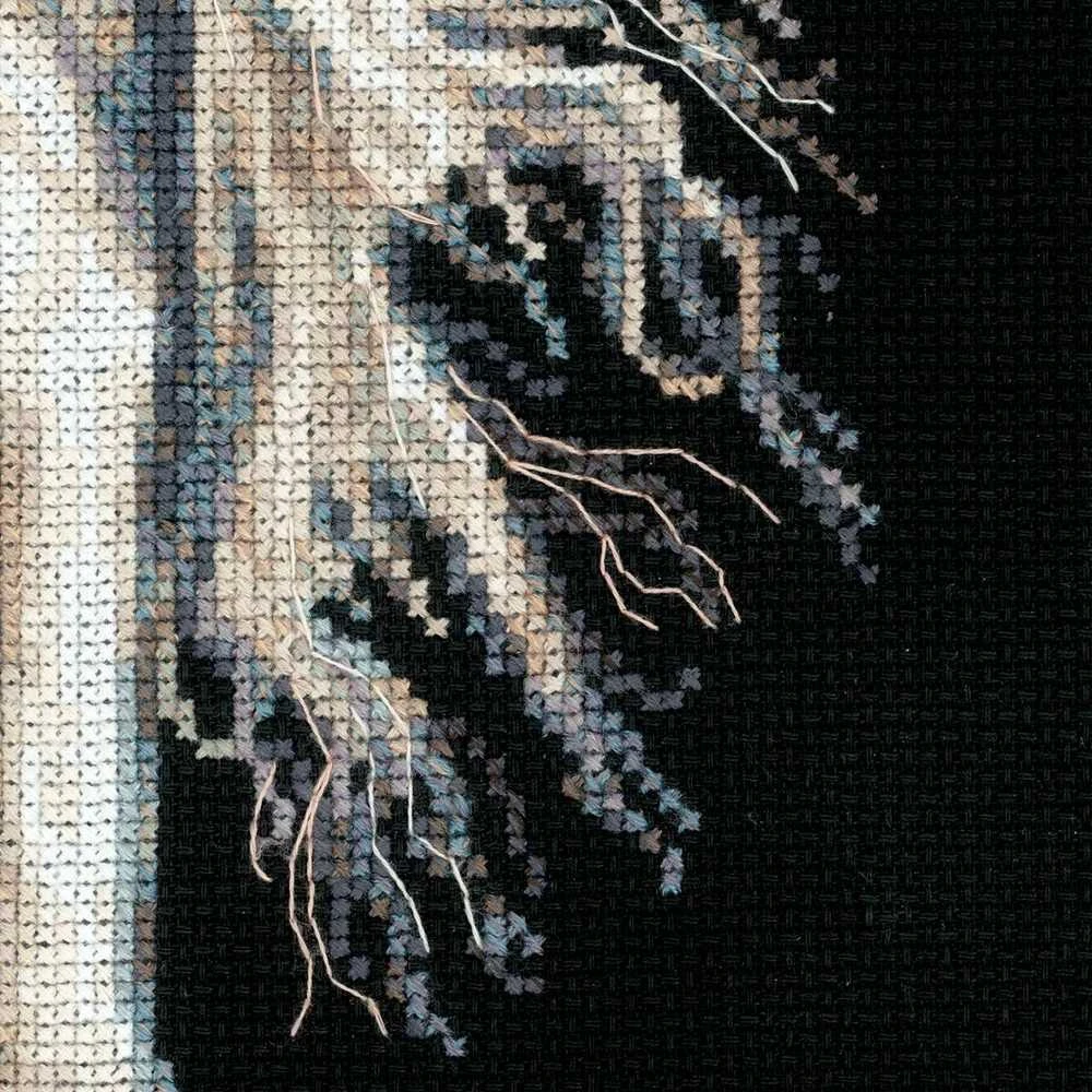 RIOLIS - Create It Yourself - Siuvinėjimo rinkinys „Andaluzijos charakteris“ 1451 (30x45 cm)