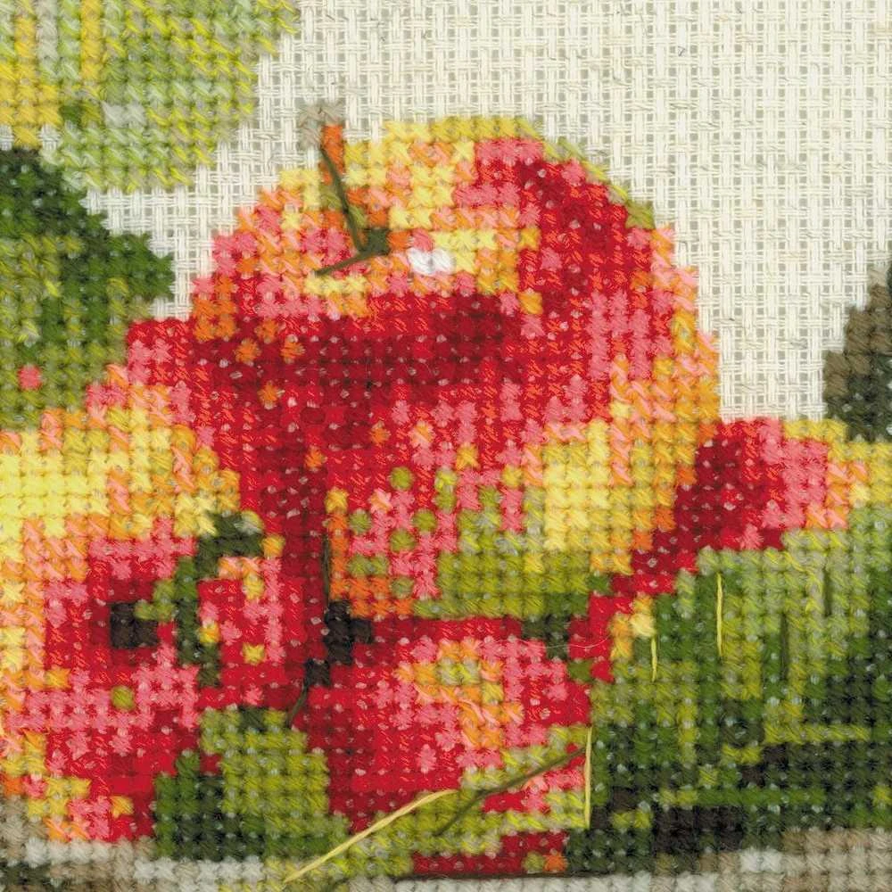 RIOLIS - Create It Yourself - Siuvinėjimo rinkinys „Prinokę obuoliai“ 1450 (30x30 cm)