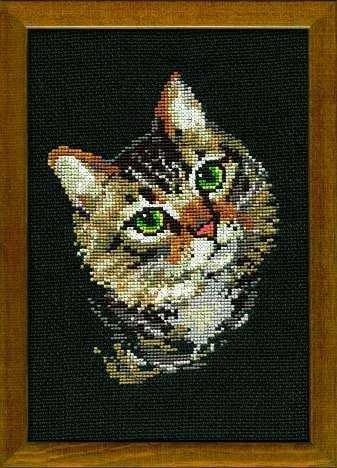 RIOLIS - Create It Yourself - Siuvinėjimo rinkinys „Rainius“ 766 (21x30 cm)